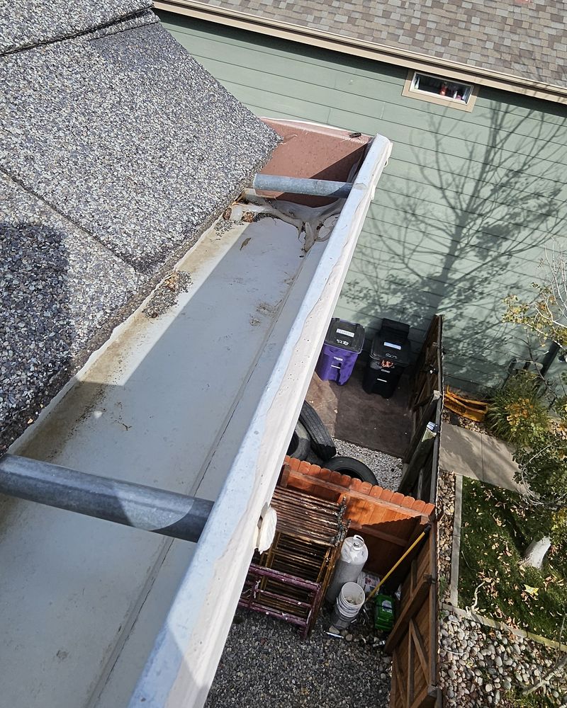 Clean white gutter along a gray shingle roof