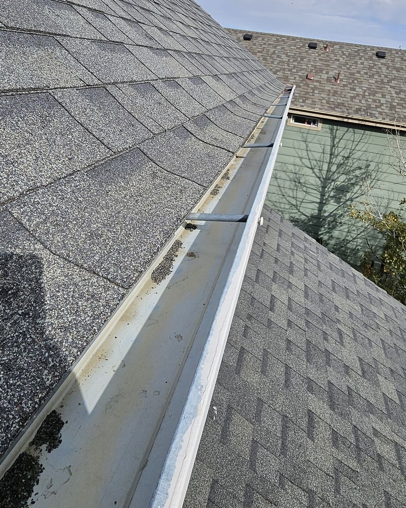 Clean gutter running along a gray shingle roof