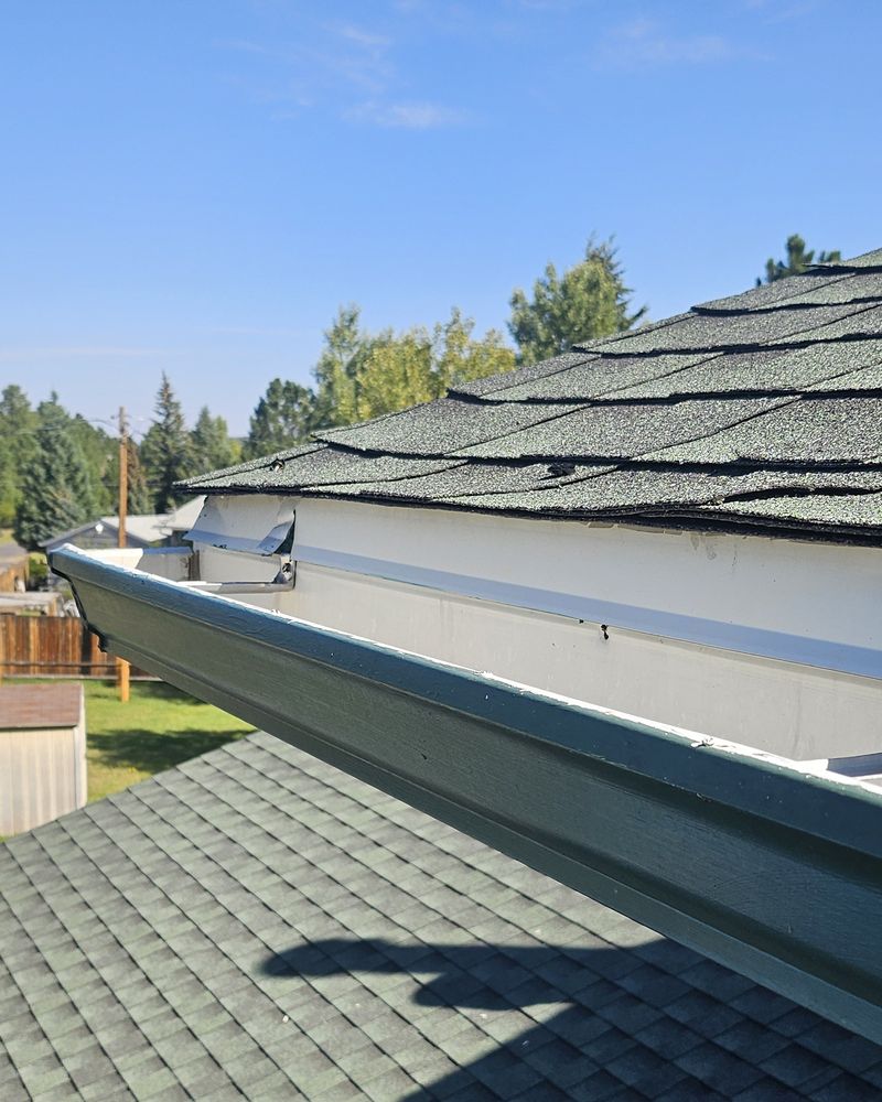 Gutter along a green shingle roof