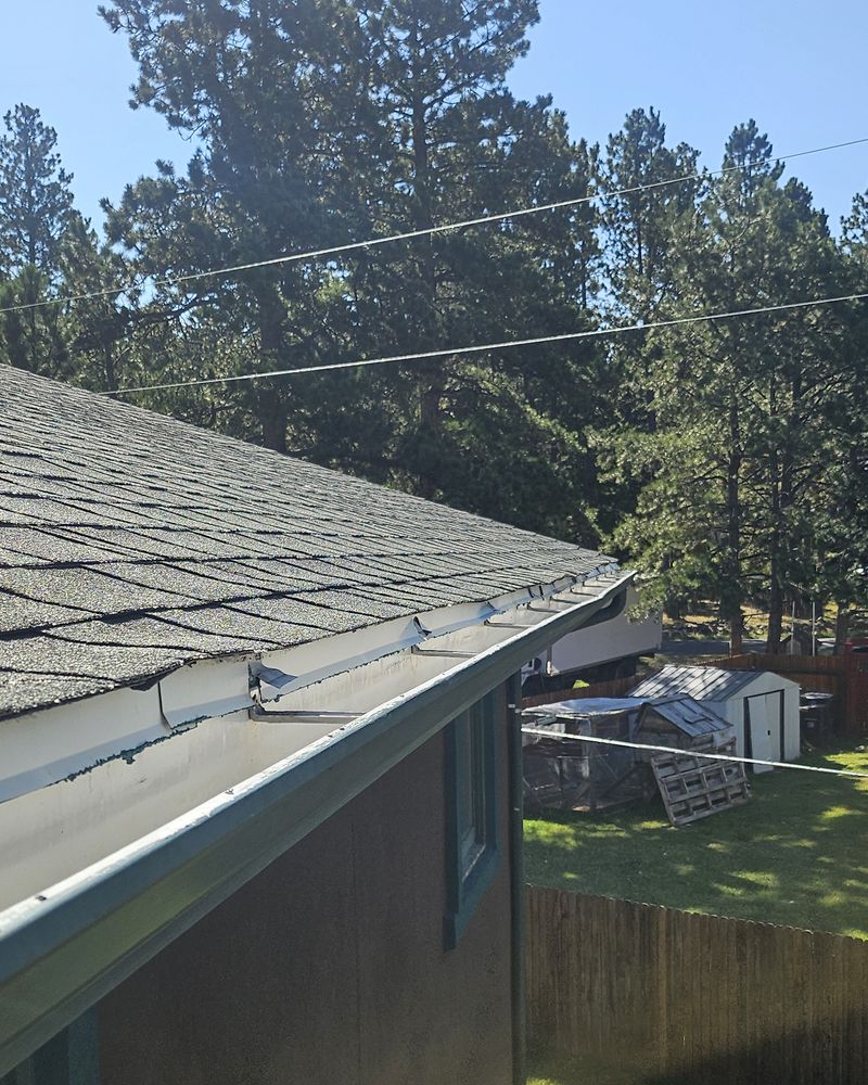 Gutter along the edge of a green shingle roof